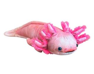 Obrázek z Axolotl růžový plyš 38cm 
